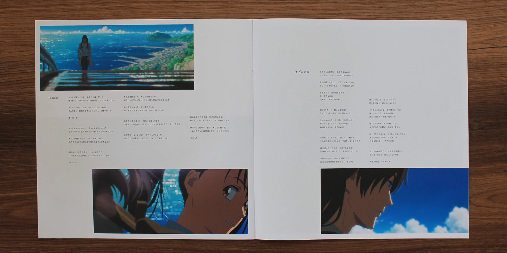 Suzume no Tojimari Japan Vinyl
