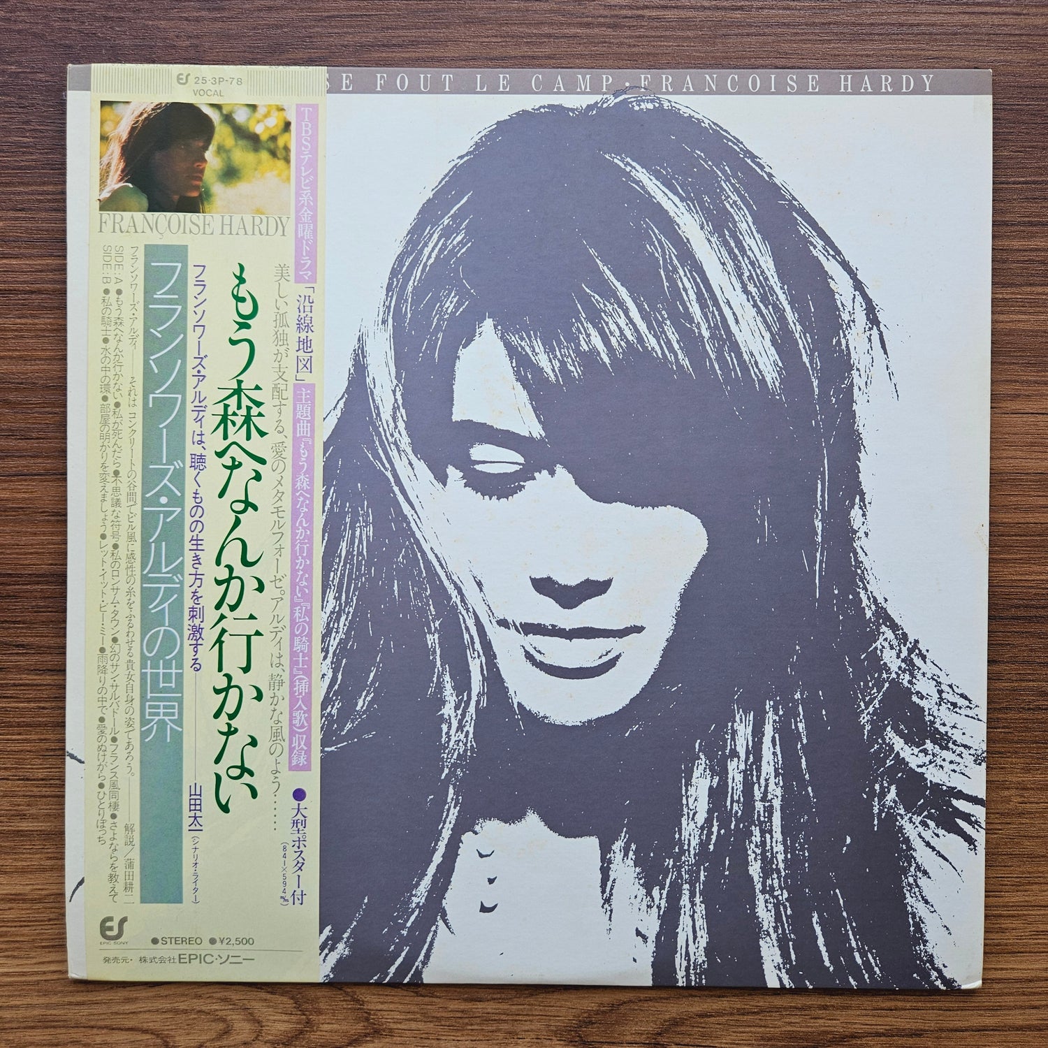 Françoise Hardy – Ma Jeunesse Fout Le Camp 33'lük LP PLAK Japan Vinyl