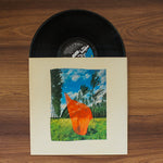 Pink Floyd - Wish You Were Here Japan Vinyl