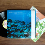 Momoko Kikuchi - Ocean Side 33'lük LP PLAK Japan Vinyl