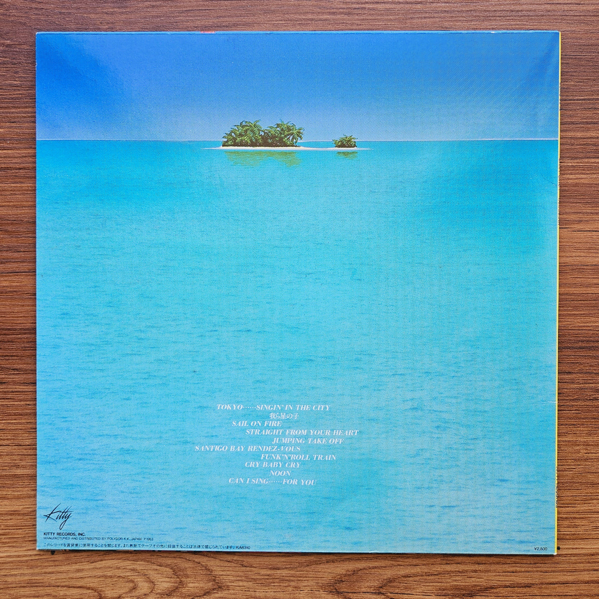 Masayoshi Takanaka - Can I Sing? 33'lük LP PLAK Japan Vinyl