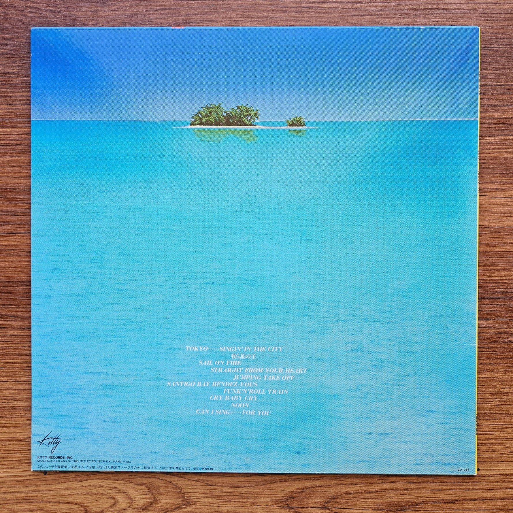 Masayoshi Takanaka - Can I Sing? 33'lük LP PLAK Japan Vinyl
