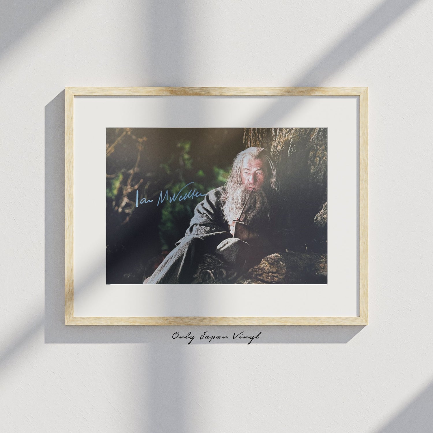 Ian McKellen 20x30 cm Boyutunda El İmzalı Fotoğraf (Ömür Boyu COA) Japan Vinyl