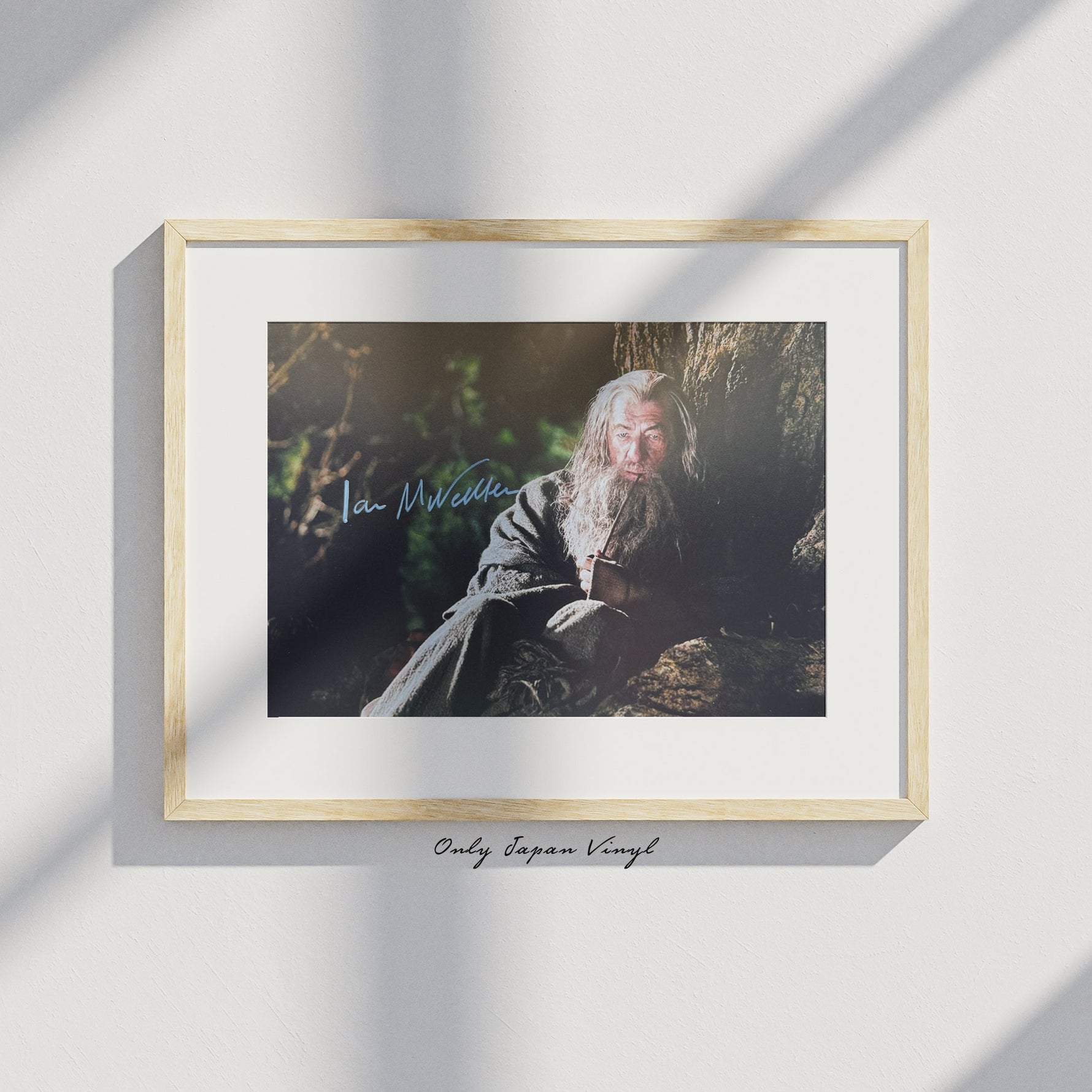 Ian McKellen 20x30 cm Boyutunda El İmzalı Fotoğraf (Ömür Boyu COA) Japan Vinyl