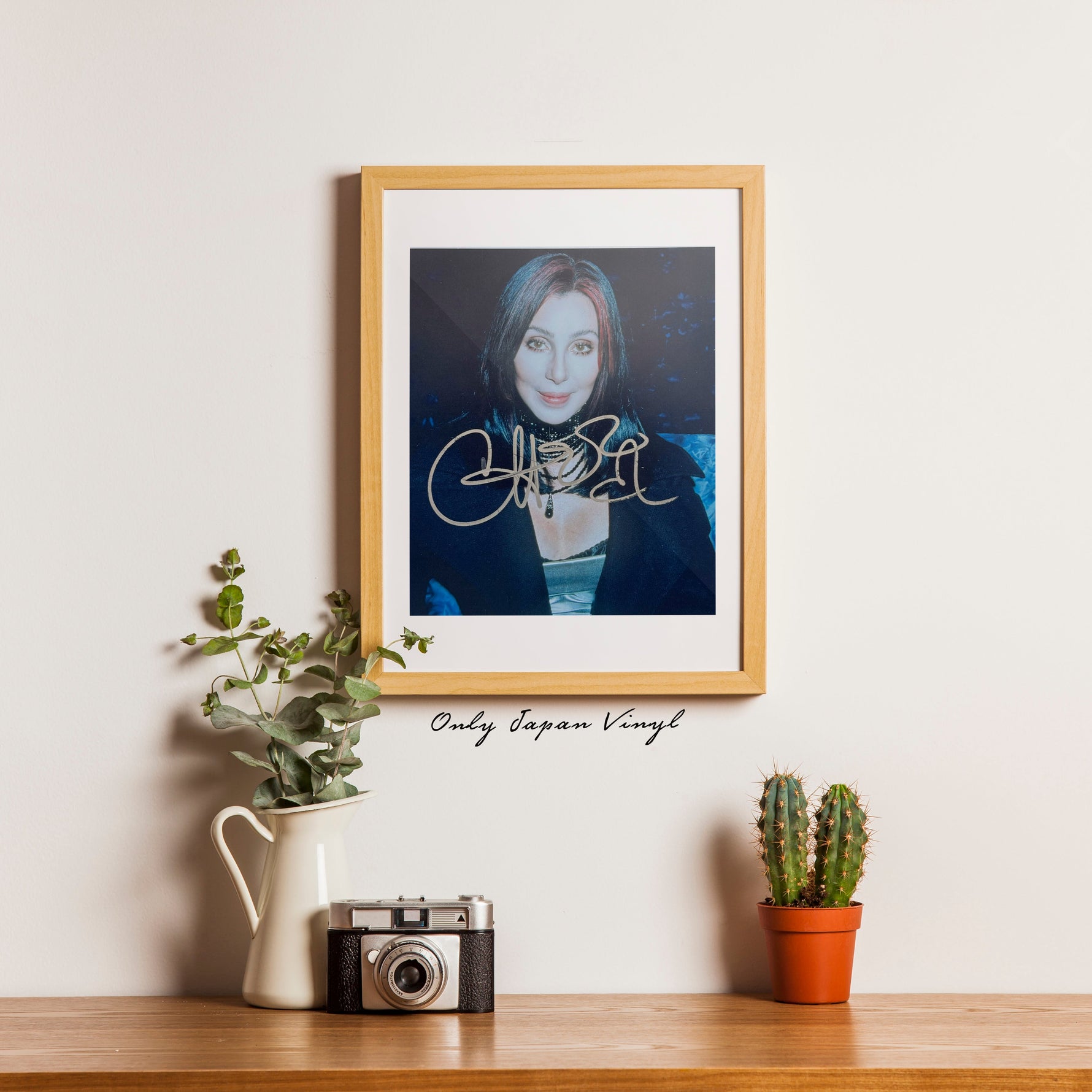 Cher 20x23 cm Boyutunda El İmzalı Fotoğraf (Ömür Boyu COA) Japan Vinyl