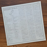 Pink Floyd – The Wall 33'lük LP PLAK Japan Vinyl