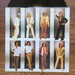 Chicago – Chicago 13 33'lük LP PLAK Japan Vinyl