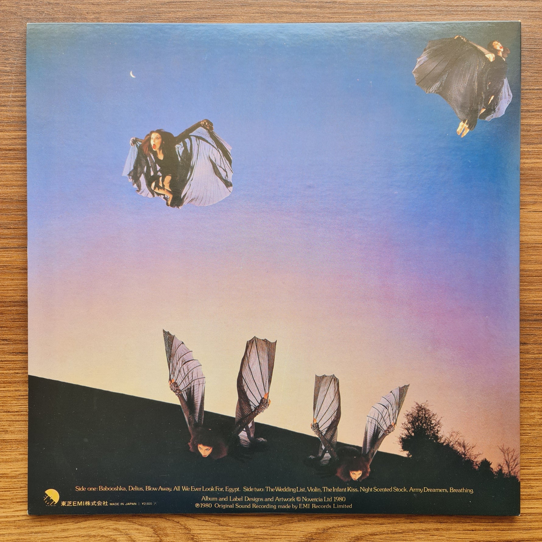 Kate Bush – Never For Ever 33'lük LP PLAK Japan Vinyl