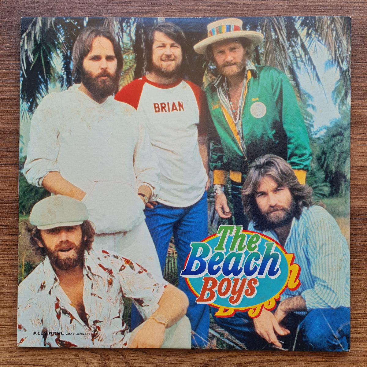 The Beach Boys – The Beach Boys 33'lük LP PLAK Japan Vinyl
