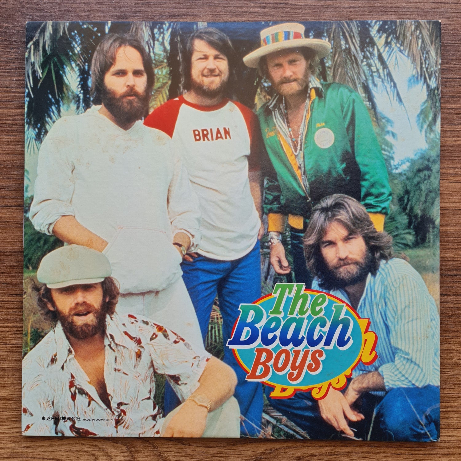 The Beach Boys – The Beach Boys 33'lük LP PLAK Japan Vinyl