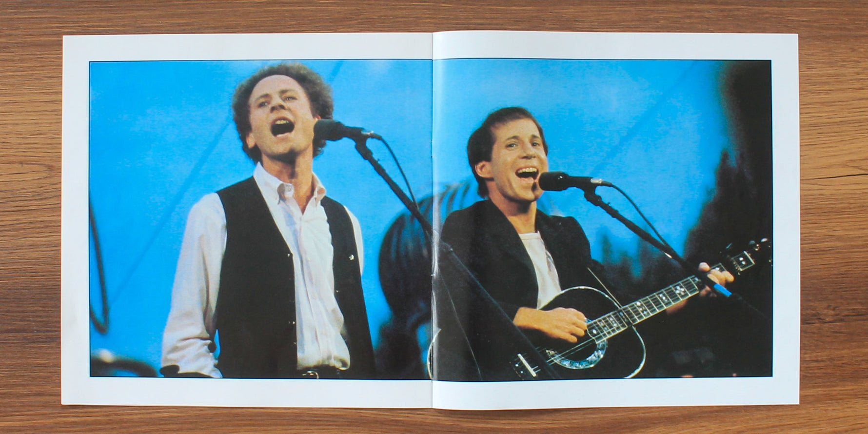 Simon & Garfunkel - The Concert In Central Park 33'lük LP PLAK Japan Vinyl