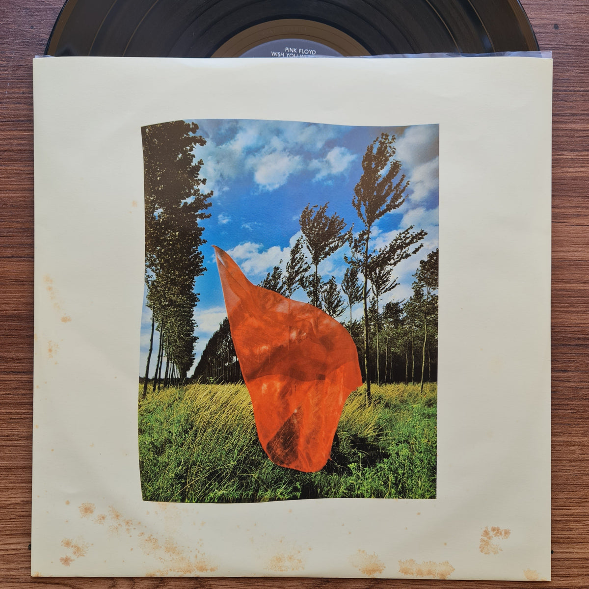 Pink Floyd - Wish You Were Here 33'lük LP PLAK Japan Vinyl