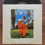 Pink Floyd - Wish You Were Here 33'lük LP PLAK Japan Vinyl