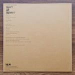 Yukihiro Takahashi – What, Me Worry? Japan Vinyl
