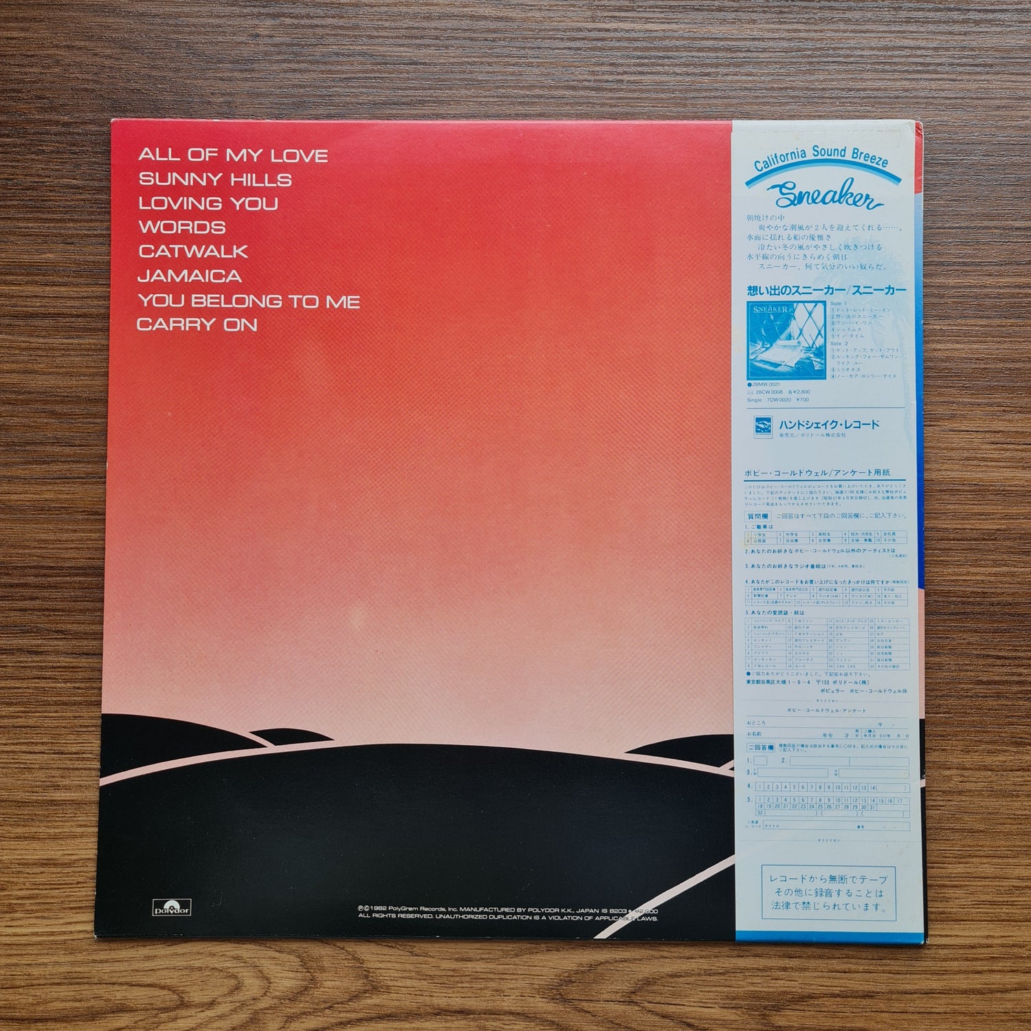 Bobby Caldwell – Carry On 33'lük LP PLAK Japan Vinyl