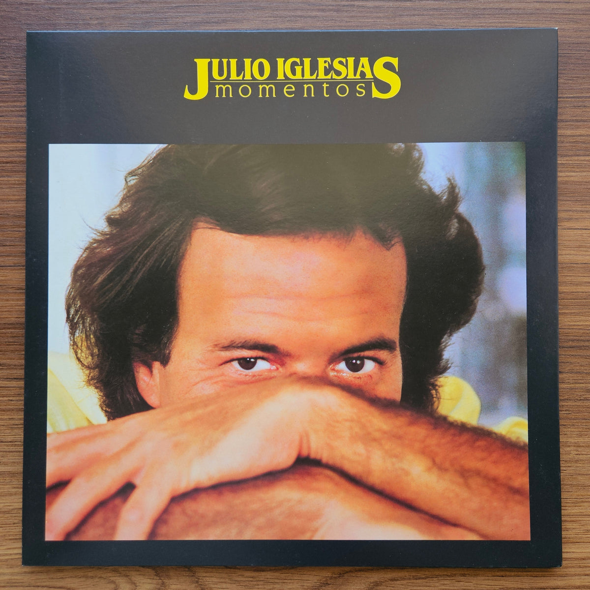 Julio Iglesias – Momentos 33'lük LP PLAK Japan Vinyl