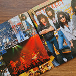 Loudness – Disillusion - English Version Japan Vinyl