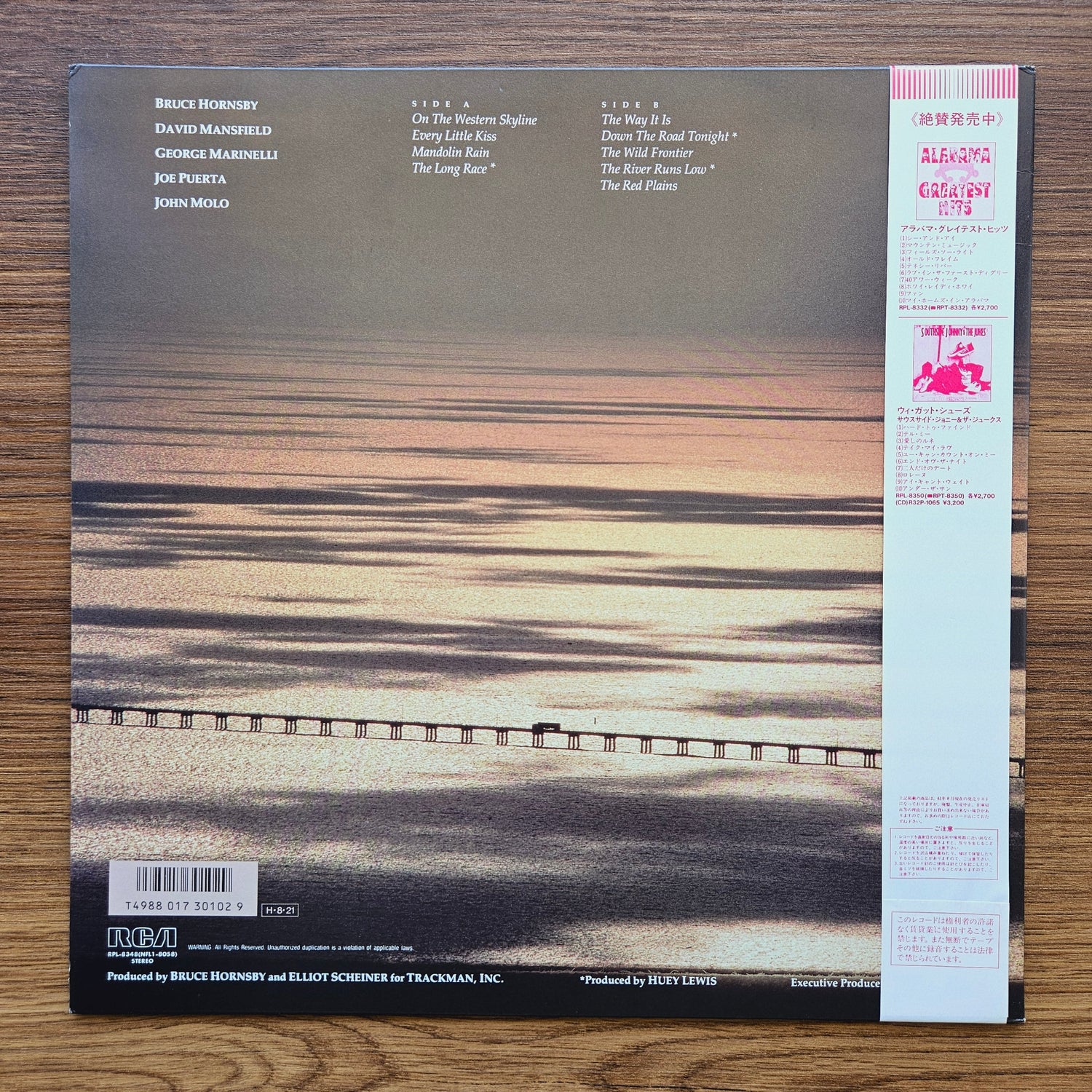 Bruce Hornsby And The Range – The Way It Is 33'lük LP PLAK Japan Vinyl