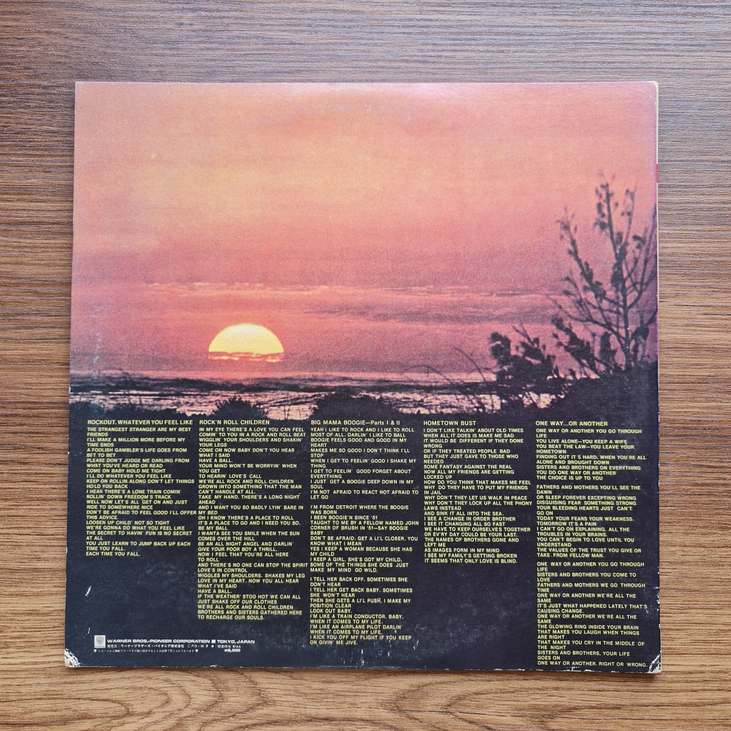 Cactus – One Way...Or Another 33'lük LP PLAK Japan Vinyl