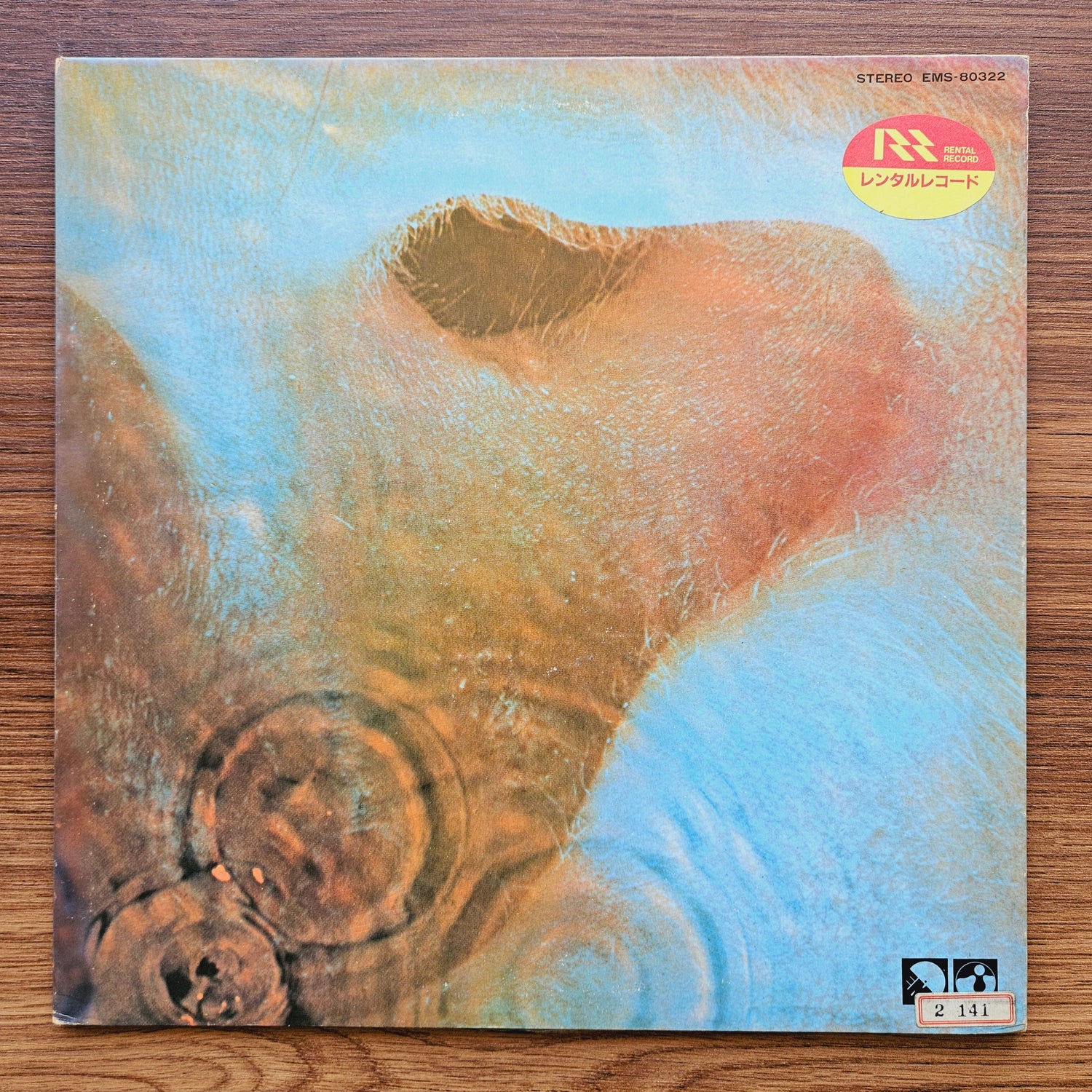 Pink Floyd – Meddle 33'lük LP PLAK Japan Vinyl