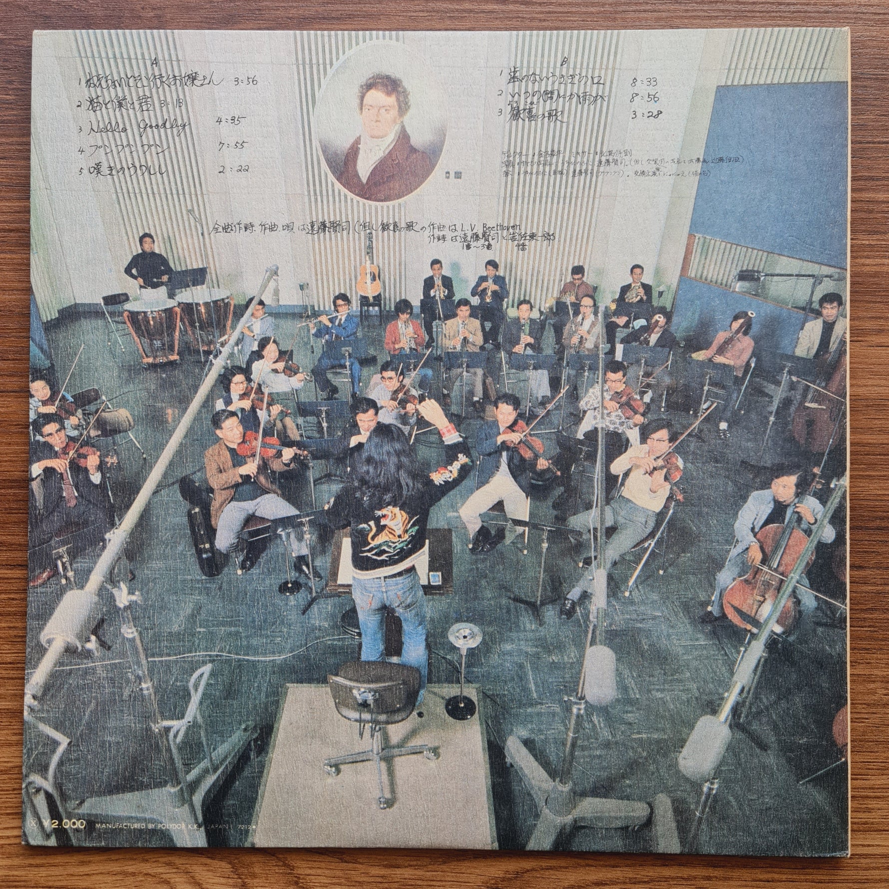 Kenji Endo – Ukulele of Lament 33'lük LP PLAK Japan Vinyl