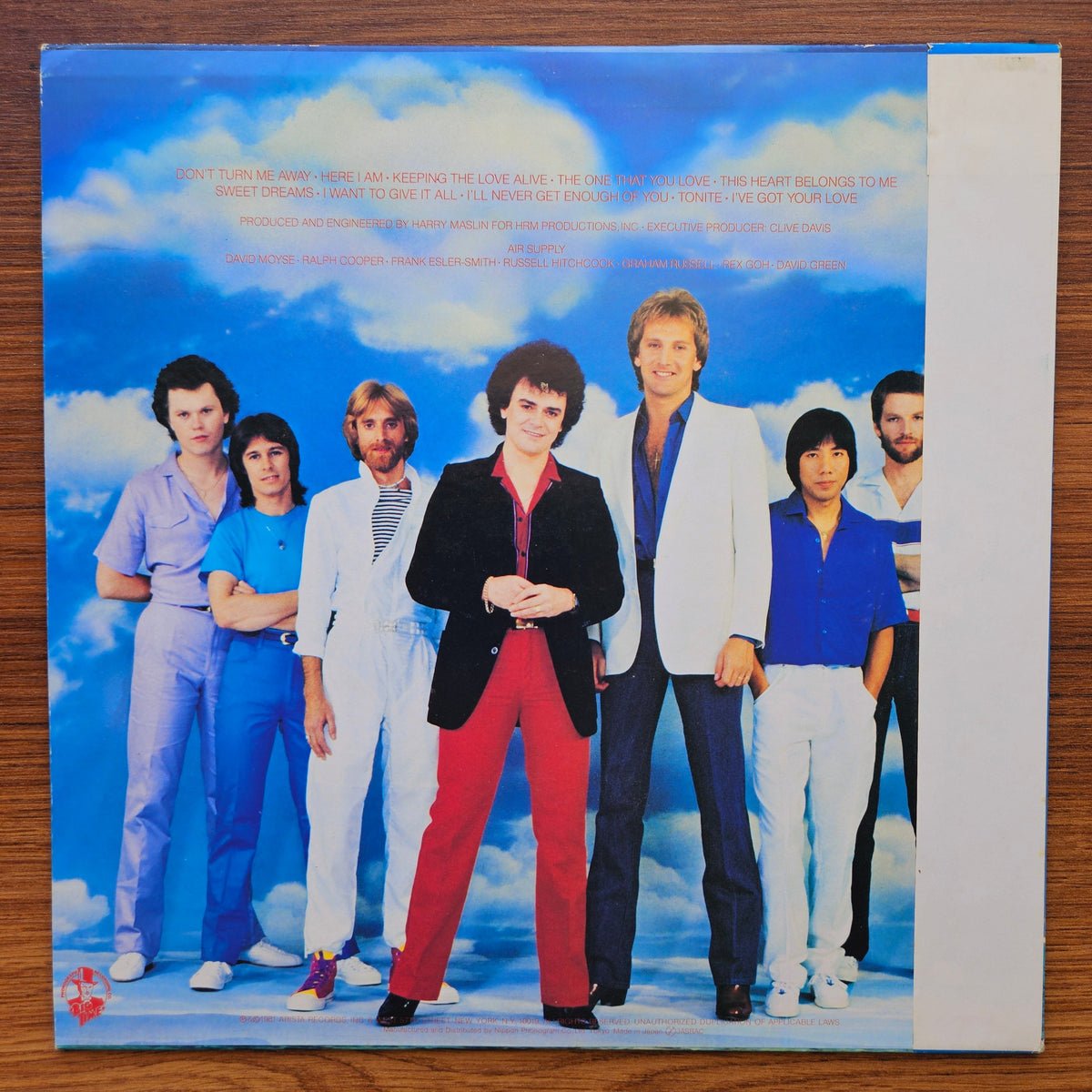 Air Supply – The One That You Love 33'lük LP PLAK Japan Vinyl