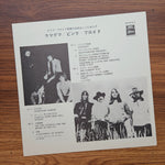 Pink Floyd – Ummagumma 33'lük LP PLAK Japan Vinyl