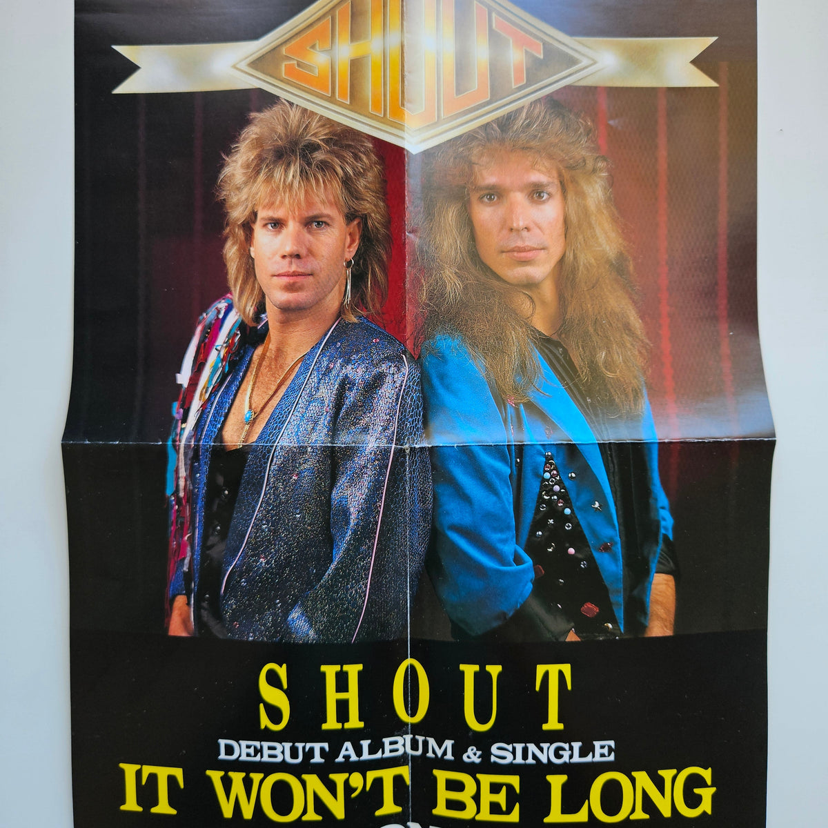 Shout - It Won't Be Long / Timeless Love Japan Vinyl