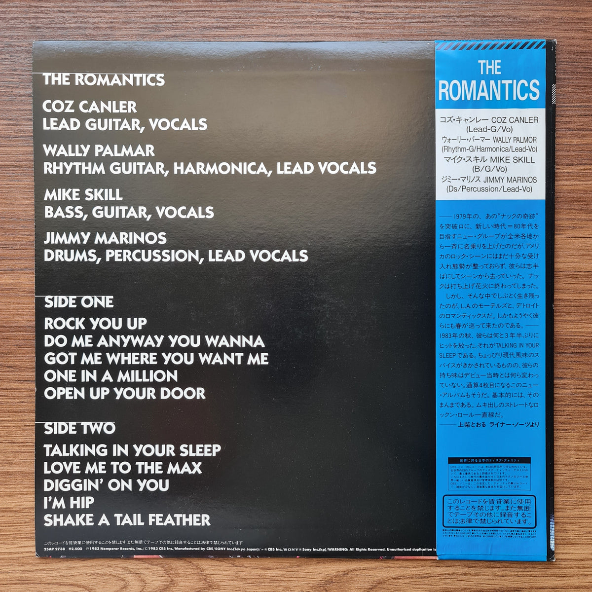 The Romantics – In Heat 33'lük LP PLAK Japan Vinyl
