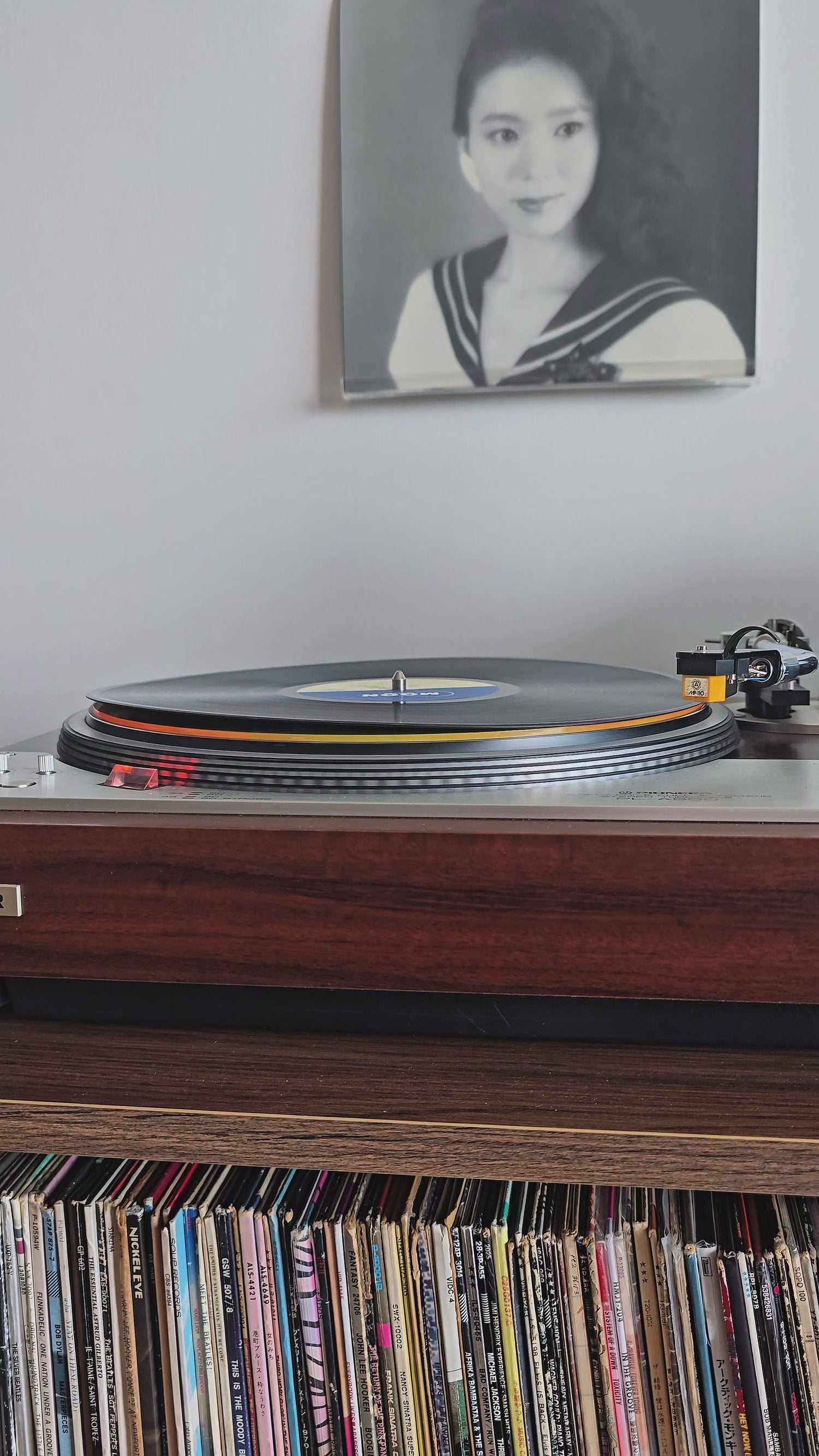 Plak Düzeltme ve Ultrasonic Temizleme Hizmeti (Vinyl Flattening Service)