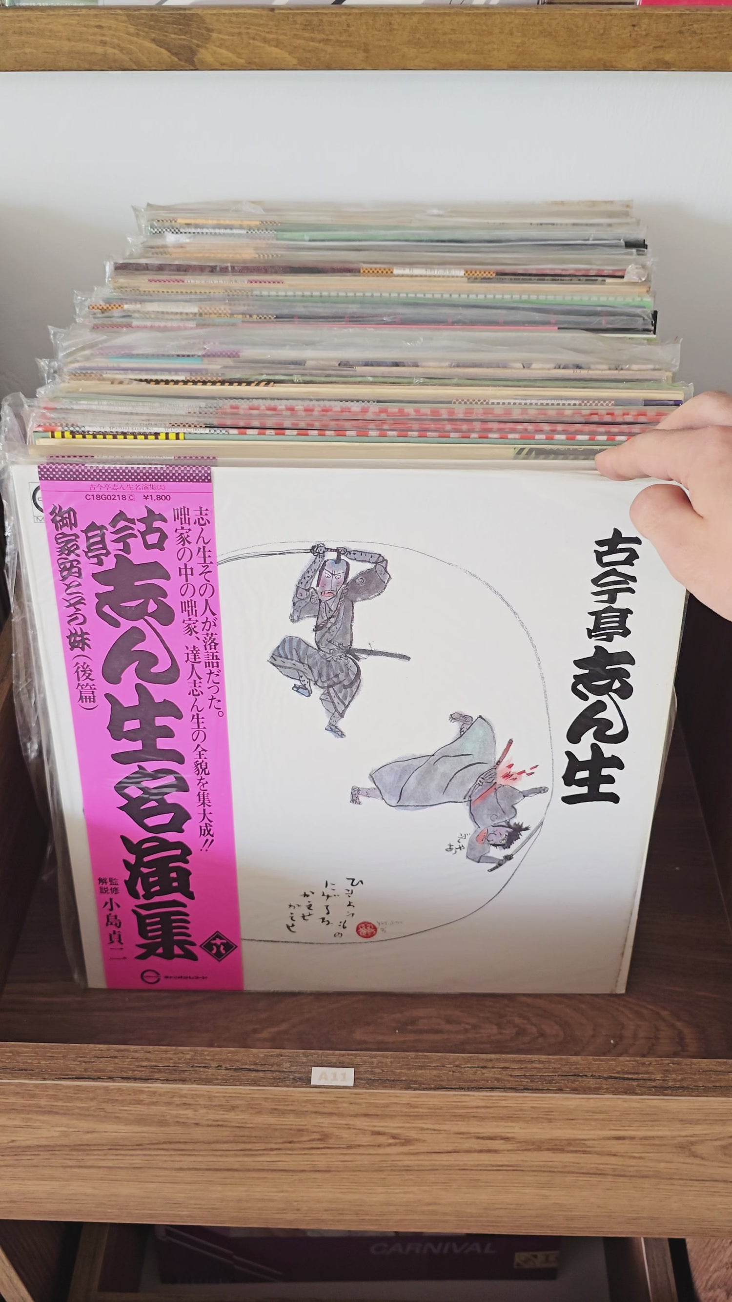 Japon Sanatçı 70 Adet Plak Lotu
